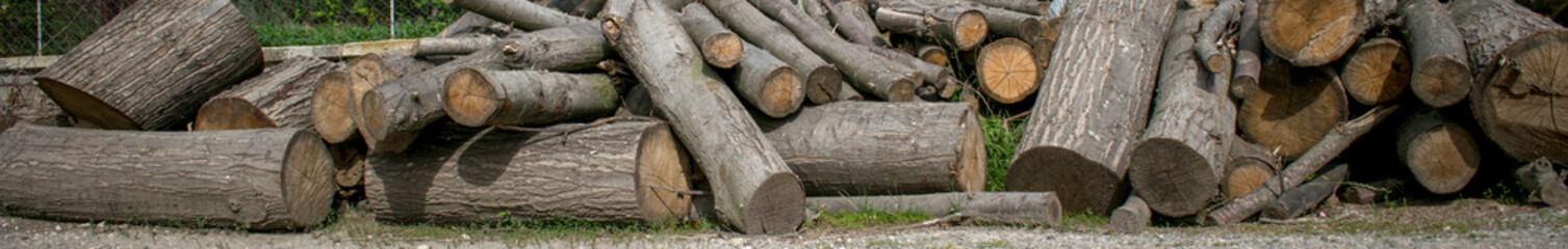 Fototapeta premium Wide horizontal image of chopped wood. Banner for article about environmental issues. Pile of big tree logs and stumps on top of each other.