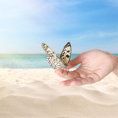 Fototapeta na wymiar Woman holding beautiful rice paper butterfly on sandy beach, closeup