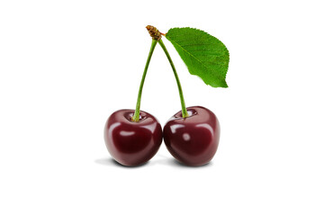 Two dark red sweet cherry fruits with green leaf isolated over white background. Close up, copy space, side view