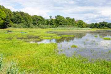 Beautiful Gondrexange lake in Lorraine, Grand Est, France
