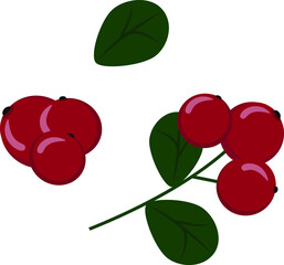 Red cranberry berries on a branch. Isolate. Autumn element for decoration, design, greeting card, etc. Products for the preparation of juice. Vector flat illustration in cartoon style, hand drawing.