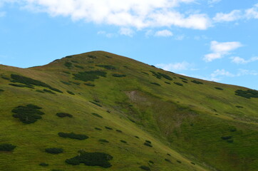Obraz premium Tatry Zachodnie, szczyty, szlaki graniowe, latem, widok z Doliny Jarząbka, Polska
