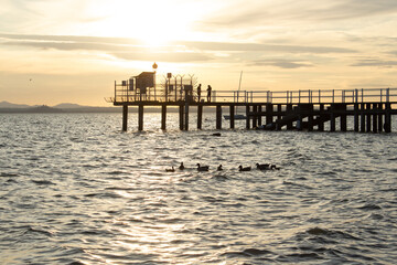 Obraz premium Fishermen and grebes at Lake Trasimeno