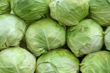 Fototapeta premium A beautiful natural pattern - variety of fresh leafy green cabbage on the stall of farmers' market in Serbia