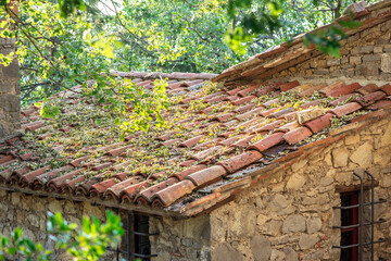 Roof tiles of the house in the woods, taken in Umbria, Italy