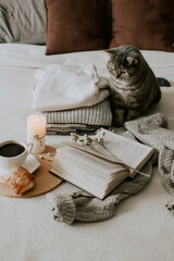 Fototapeta na wymiar Cozy breakfast in bed. Cat, book, coffee.
