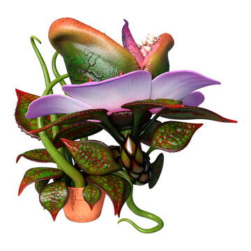 3D Rendering Carnivorous Plant on White