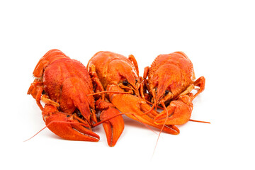 Boiled Fresh Crayfish,Crawfish,  isolated on white background