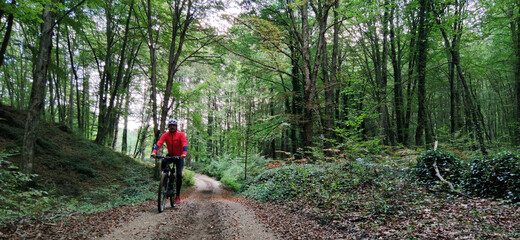 Obraz premium man biking in the forest