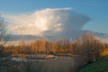 Obraz na płótnie Canvas red cloud cloud over the forest by the lake at sunset