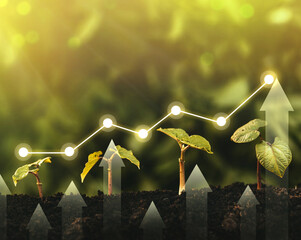 Seedling are growing from the rich soil. Concept of business growth, profit, development and success.	
