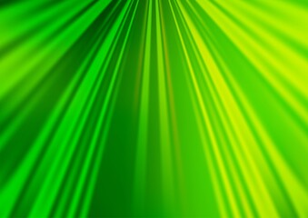 Light Green vector texture with colored lines. Lines on blurred abstract background with gradient. Pattern for websites, landing pages.