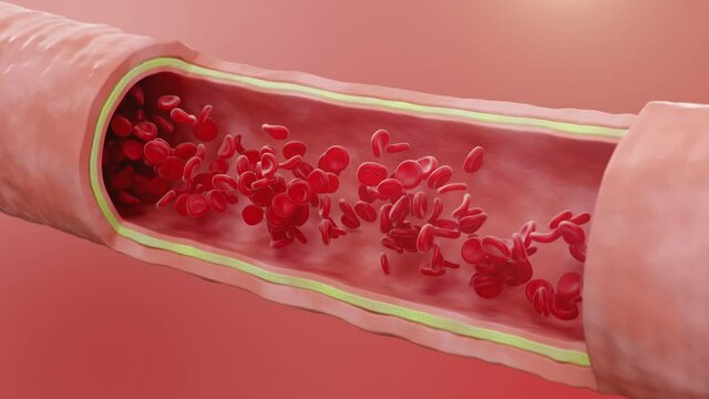 Red blood cells flow inside an artery, cross section artery view. Healthy blood flow. Medical scientific concept. Transfer of important elements into the blood to protect the body, 3d Animation