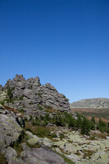 Mountains and Rocks in Siberian area Sheregesh (Russia) covered with coniferous forest on a summer sunny day