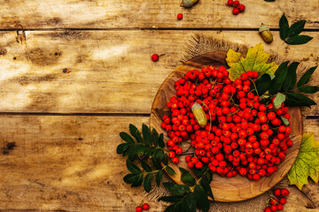 Ripe rowan berries and cherry plum fruits on round plate
