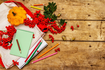 School stationery with pumpkins, rowan berries as zero waste lif