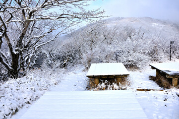 丹沢 二ノ塔山頂より三ノ塔を望む