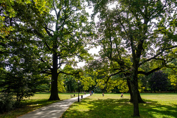 Łódź park drzewa aleja ścieżka cień
