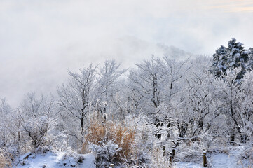 丹沢 表尾根の雪景色