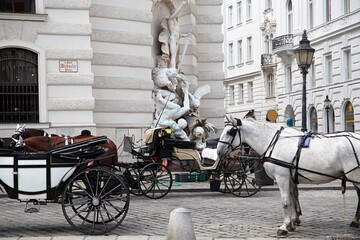 Carriage in Vienna