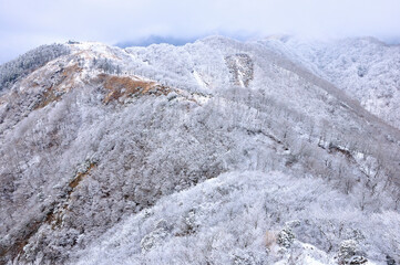 丹沢山地 雪の烏尾山を望む