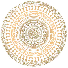 indian mandala art design vector