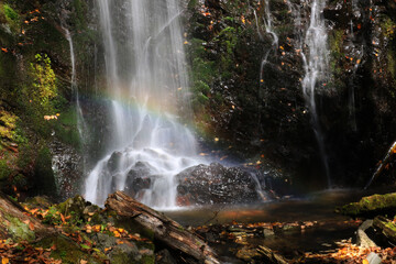Fototapeta na wymiar 虹の滝