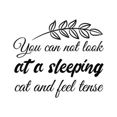  You can not look at a sleeping cat and feel tense. Isolated Vector Quote