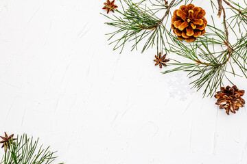 Obraz na płótnie Canvas Fresh pine branches and pine cones for Christmas or New Year concept