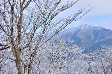 丹沢 雪化粧した二ノ塔より大山