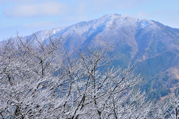 丹沢 雪化粧した二ノ塔より大山