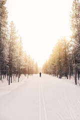 Scandinavian winter hike