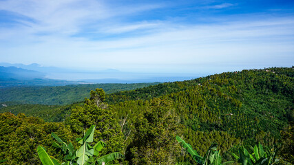 Obraz premium landscape with trees and mountains