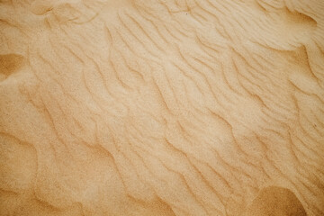 Close-up view of desert sand.
