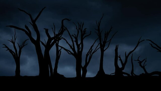 Deadvlei: Lightning and Thunderstorm Fash over Dead Trees, Concept on topic of Climate Changes