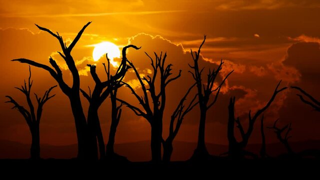 Dead Trees in Desert: Time Lapse at Sunset with Red Clouds and Fiery Sky , Concept on topic of Climate Changes, Deadvlei