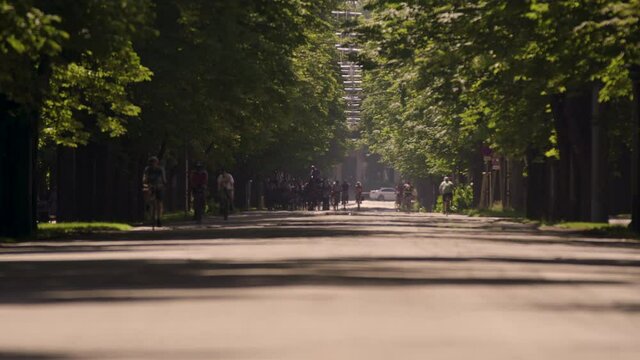 Cyclists riding down tree lined pathway in park - Hauptallee, Prater, Vienna