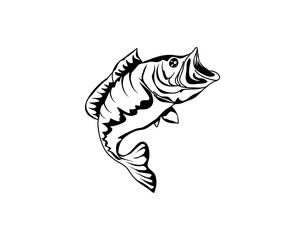 bass fish vector with Hand drawn style