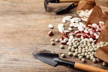 Different vegetable seeds and gardening tools on wooden table, closeup