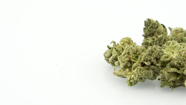Looping 360 Degree Rotation of the Marijuana Strain, AMF, 
Half Off, Right Screen, in 4K Ultra HD Resolution 3840 x 2160