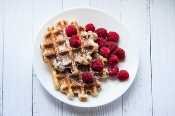 Sweet Homemade Berry Belgian Waffle with chocolate syrup and sugar powder