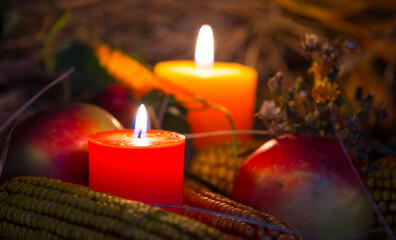 closeup autumn vegetables in a dry grass, corn, apple, brier and burning candles