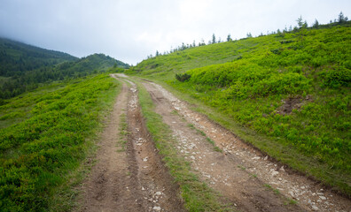 Fototapeta na wymiar ground road on a mount slope, outdoor background