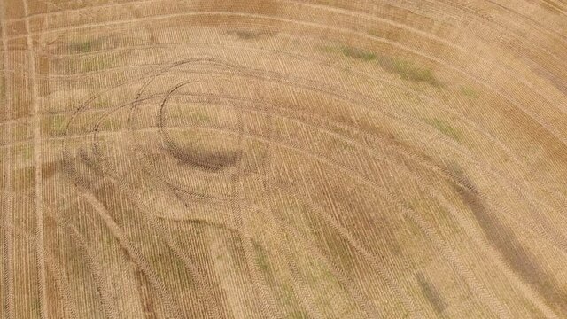 Drone moving backwards over a harvested wheat field covered in tactor tracks and into an autumn forest with trees colored green, yellow and red
