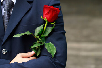 close up of Business man suit hand with red rose flower on outdoor background.