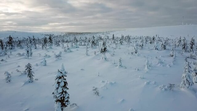 Drone view ofa snowy landscape in Saariselka, Lapland, Finland.