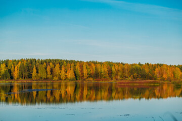 autumn trees reflected in lake
