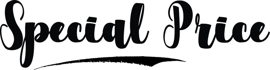 Special Price Handwritten Font Calligraphy Font For Sale Banners Flyers and Templates