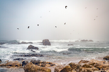 Magische-Mystisches Meer und ein Vogelschwarm. Nebel, Fog, Mist, Wolken, Wellen, Steine am Strand...