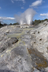 Rotorua New Zealand